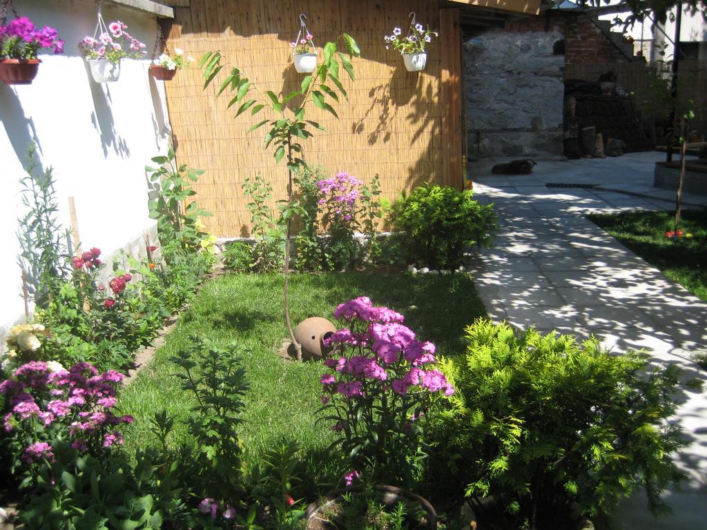 Aseva House Guest House Bansko Eksteriør bilde