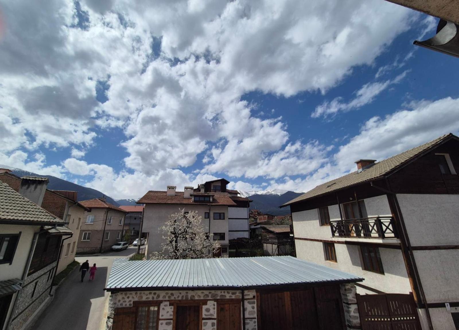 Aseva House Guest House Bansko Eksteriør bilde